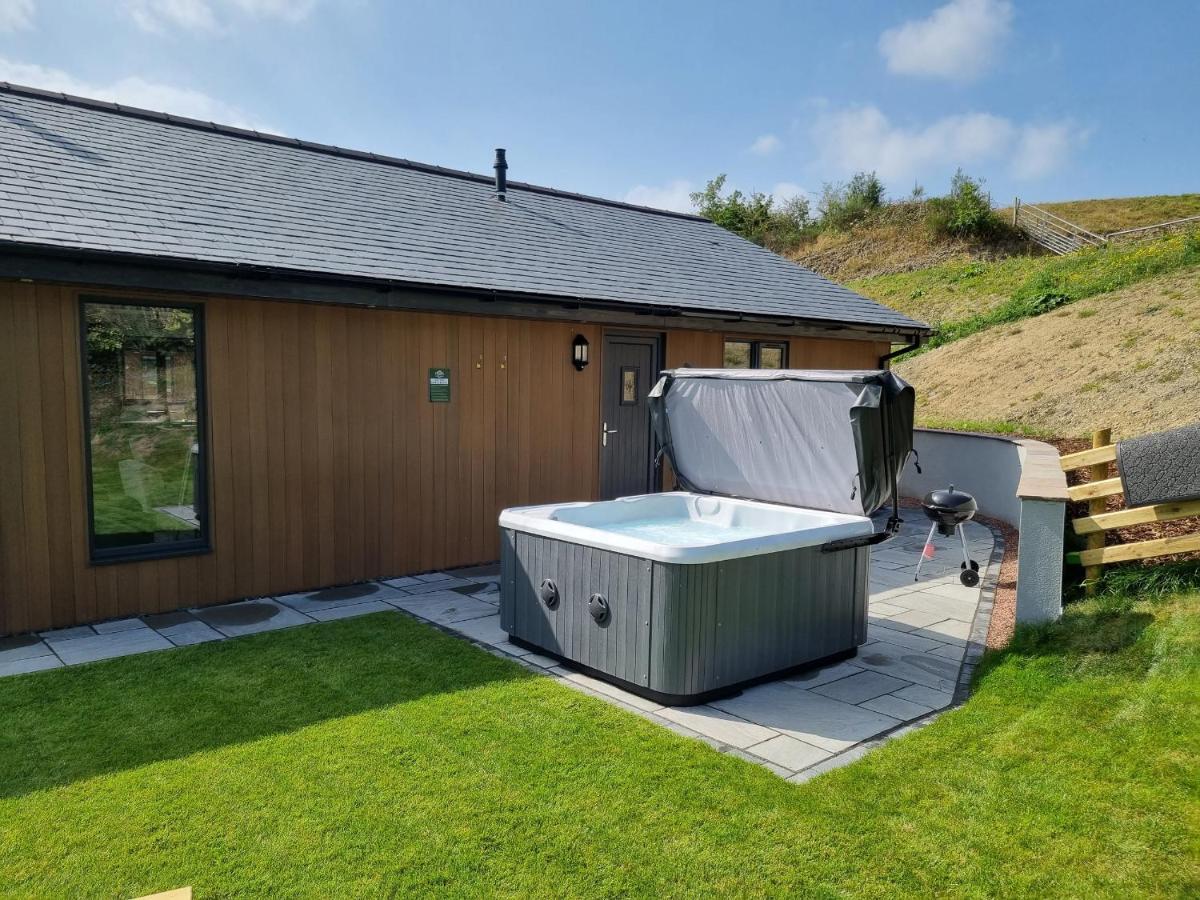Meadow View Villa Meifod Dış mekan fotoğraf